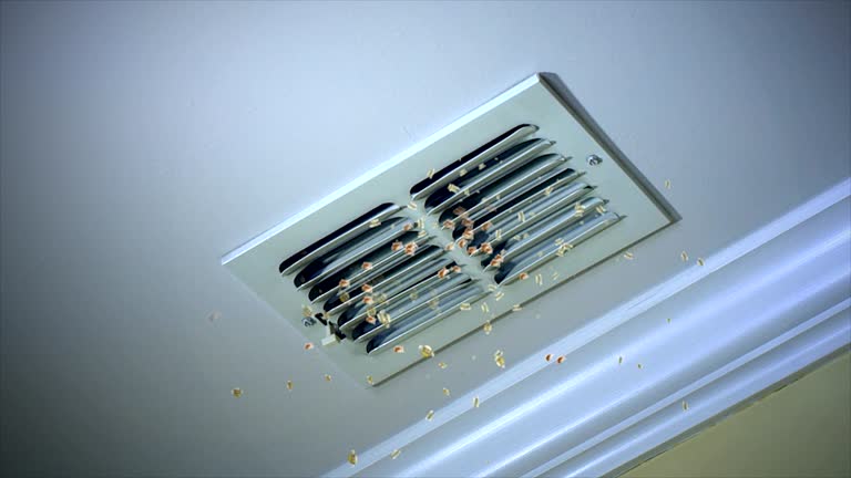 Best Local Air Duct Cleaning Services  in Vista Center, NJ