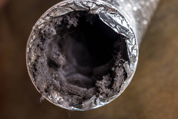 Best HVAC System Cleaning  in Vista Center, NJ